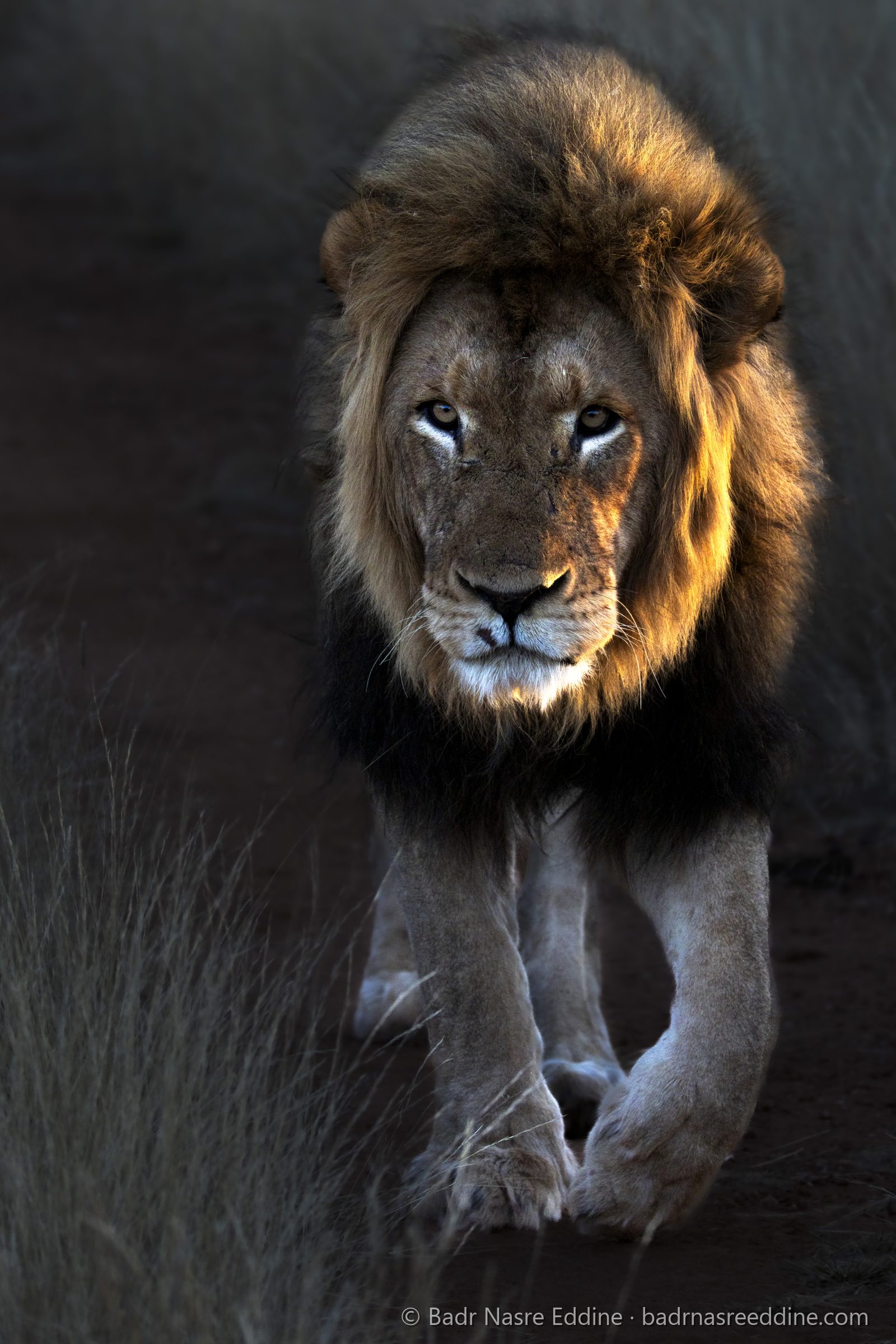 Namibie