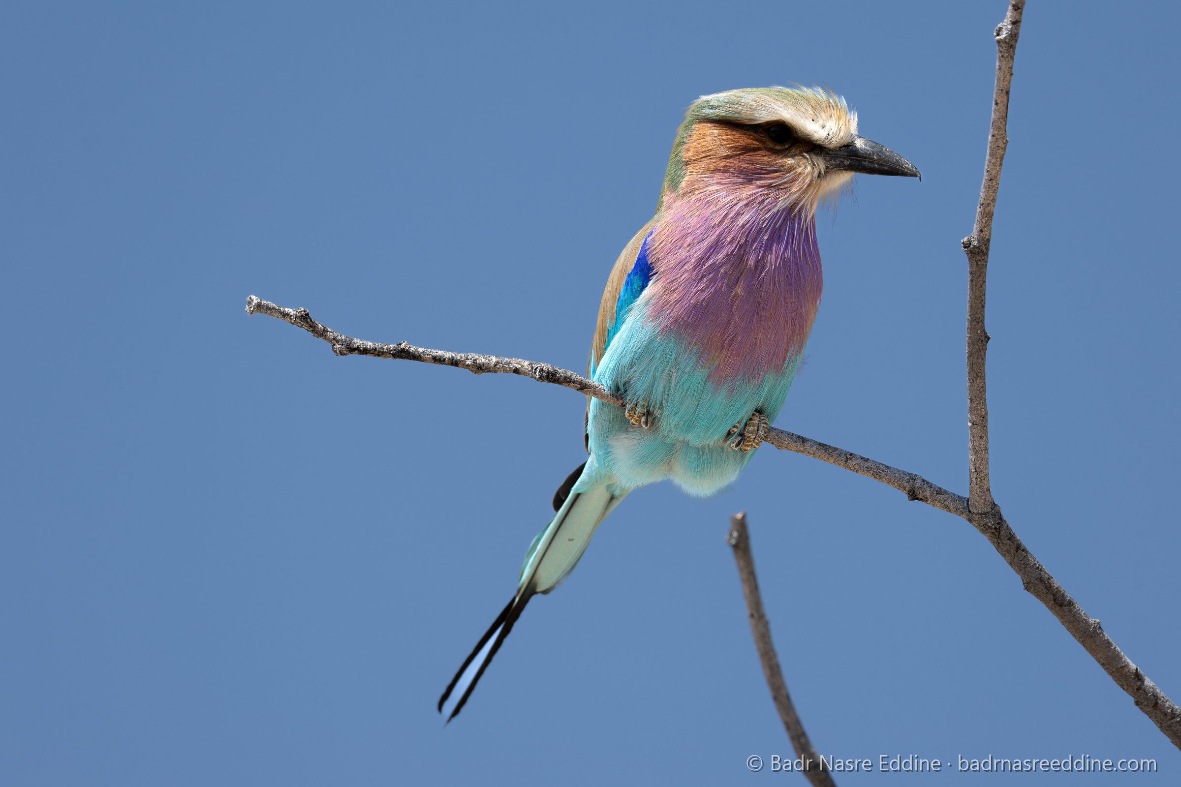Namibie, image 10