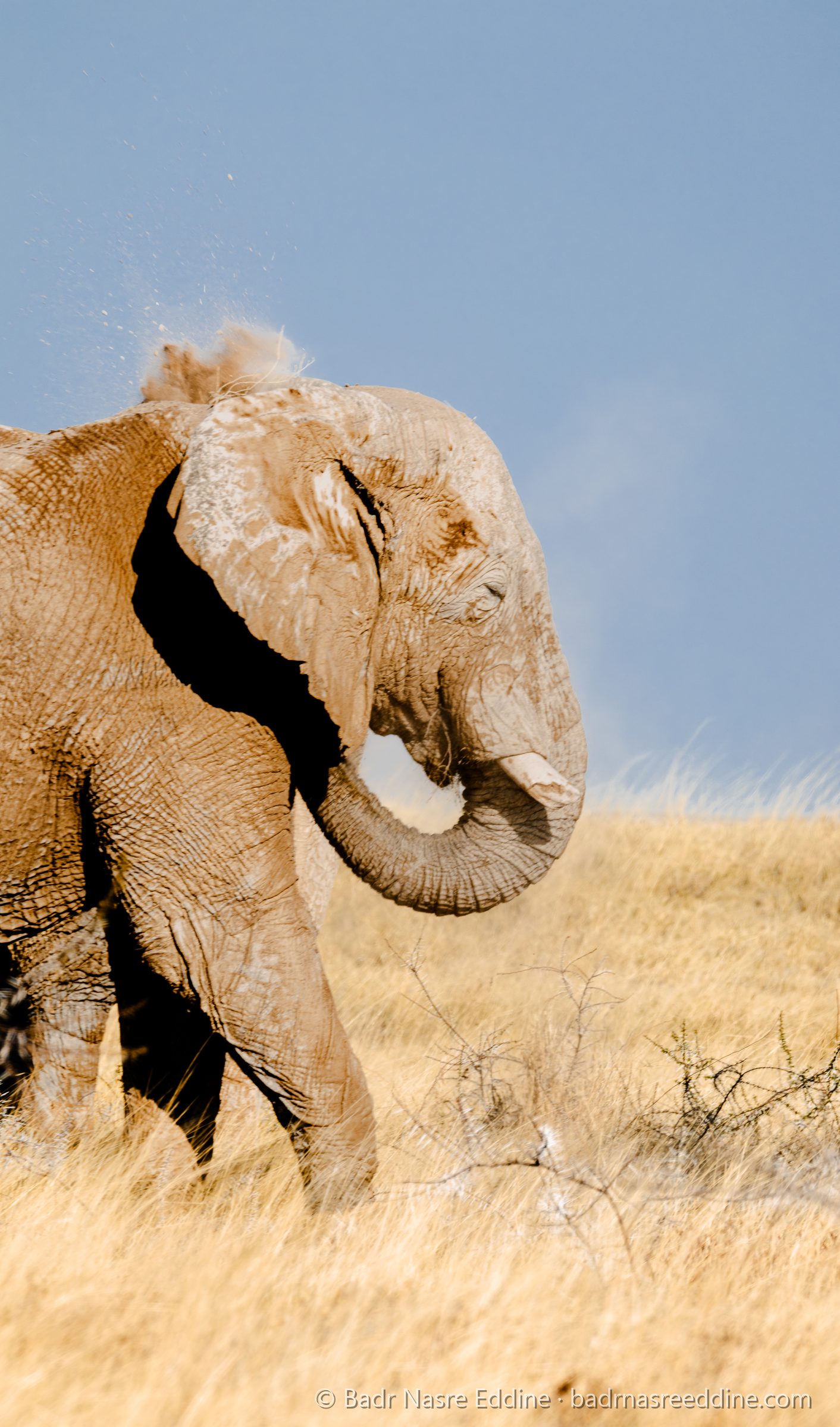 Namibie, image 2
