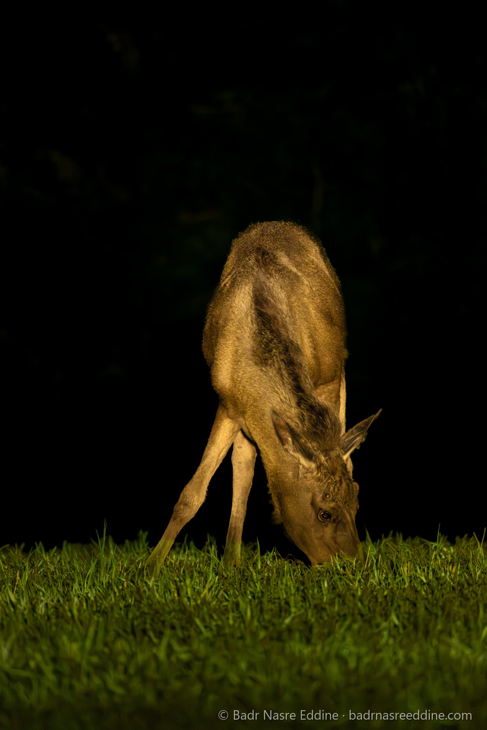 Suède, image 3