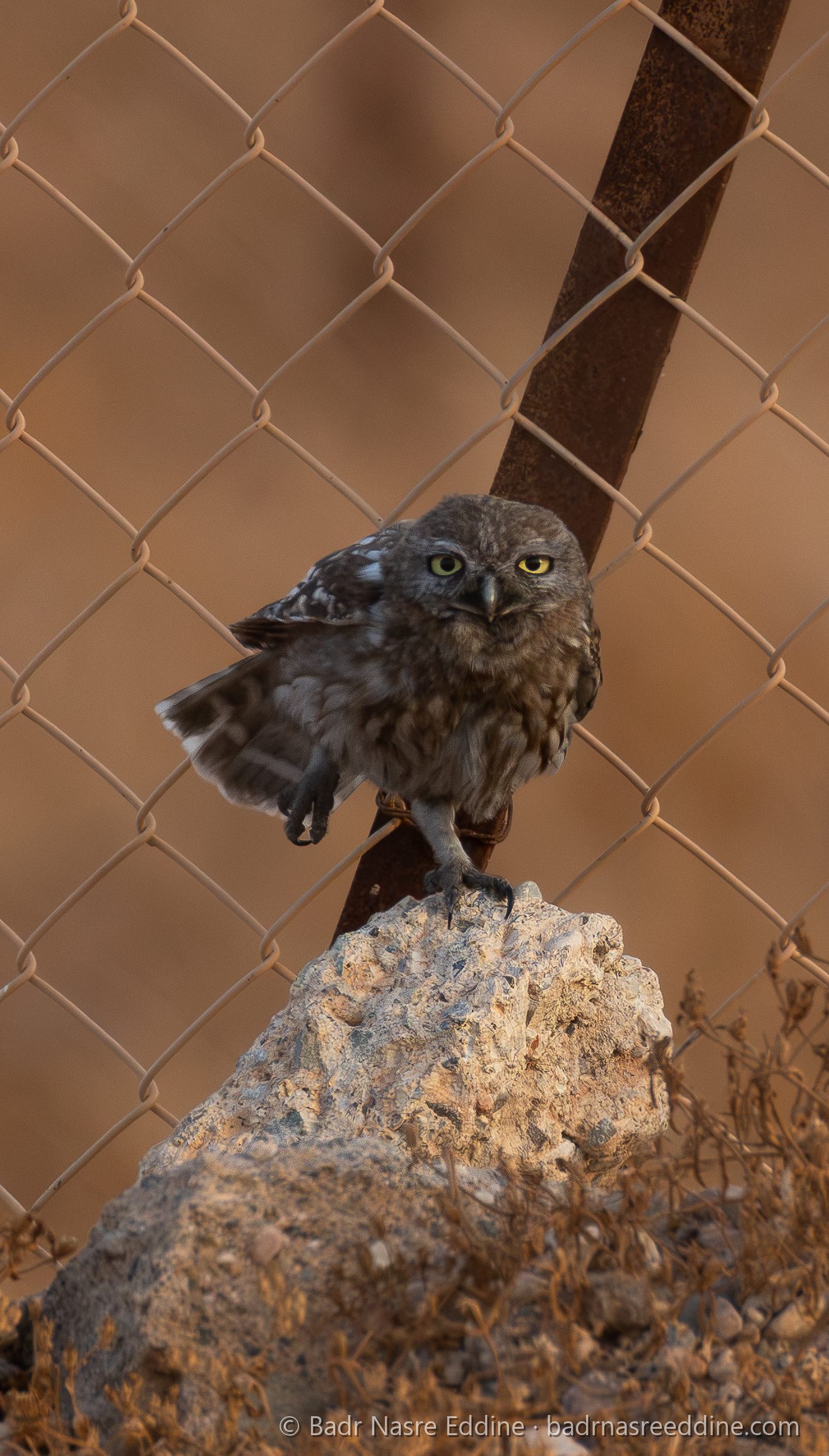 Maroc, image 1