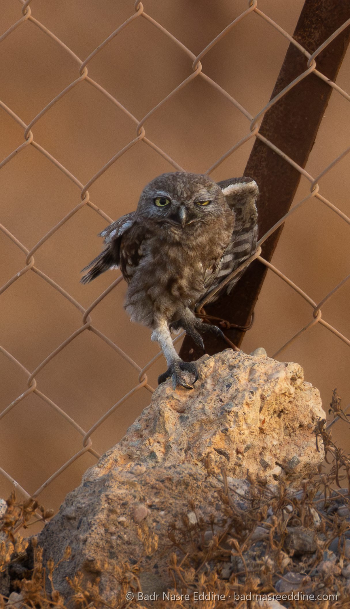 Maroc, image 21