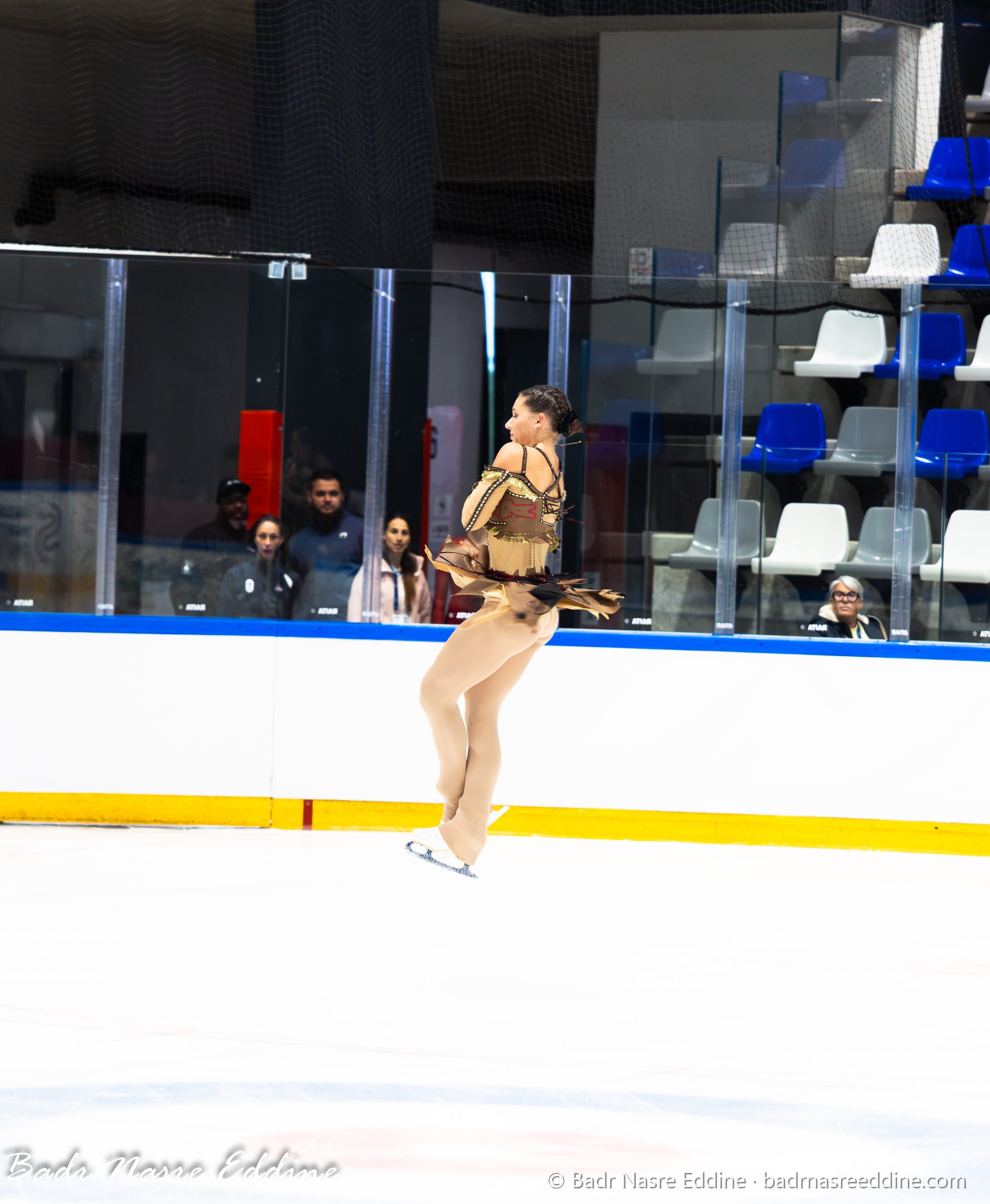 Patinage artistique, image 14